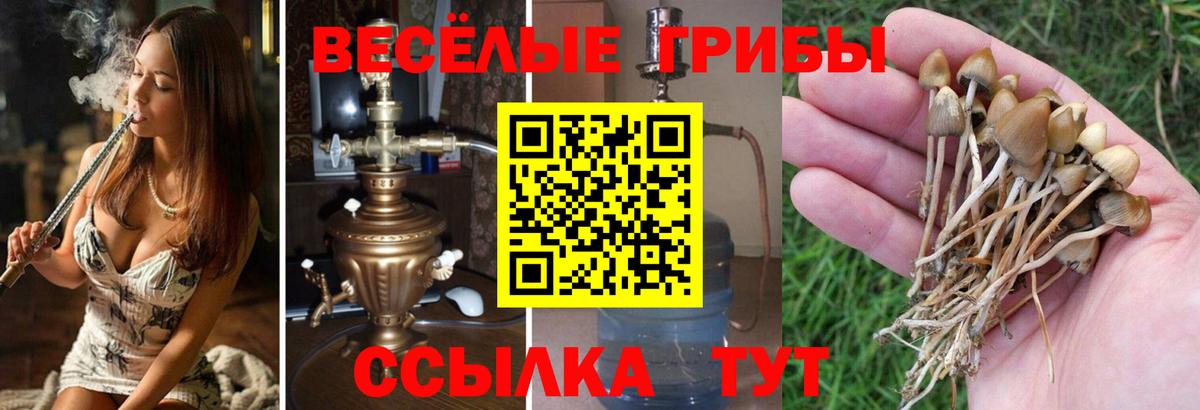 Галлюциногенные грибы мицелий  Вход с VPN  Черкесск 